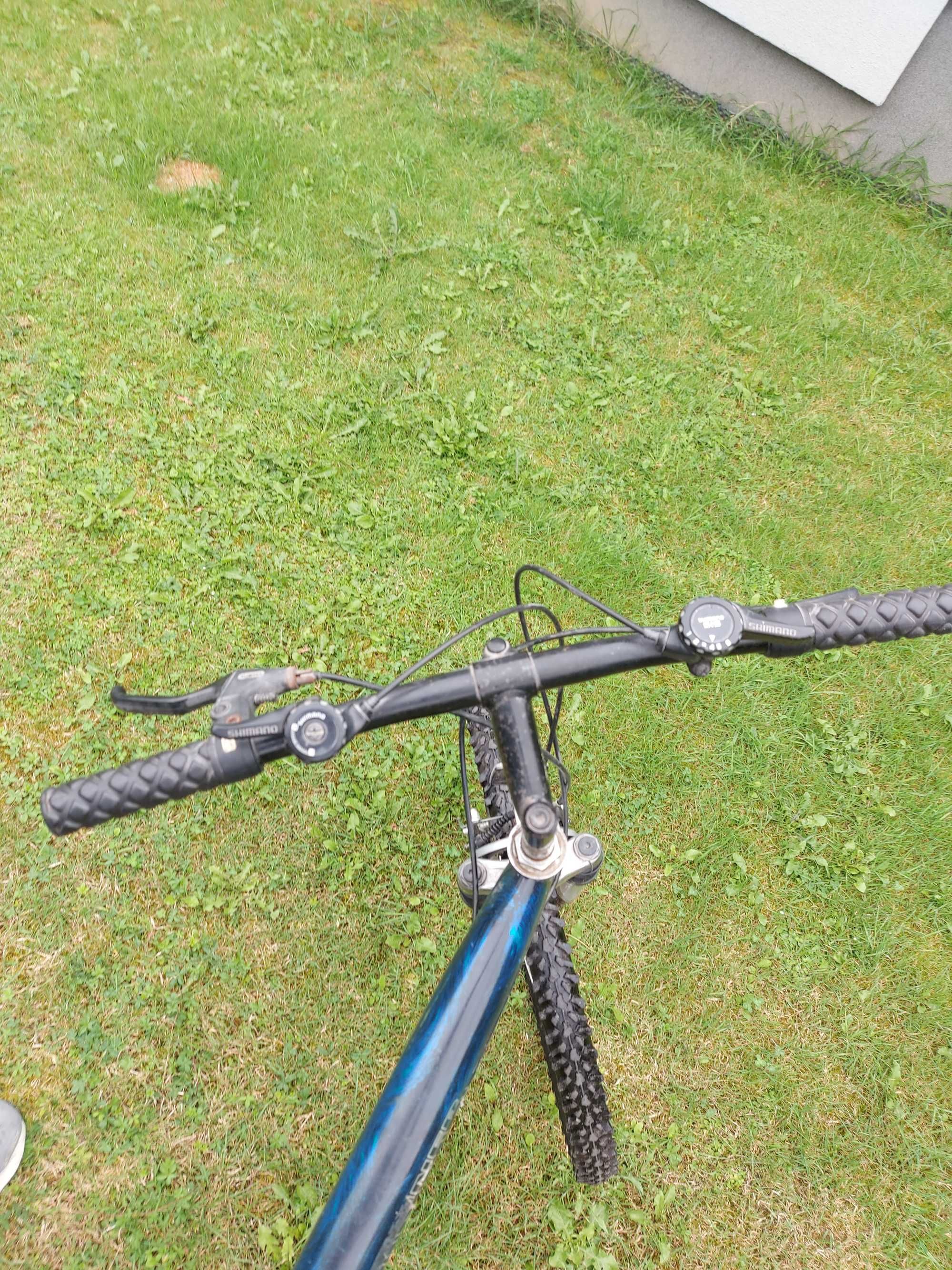Rower Winner oversize Mtb