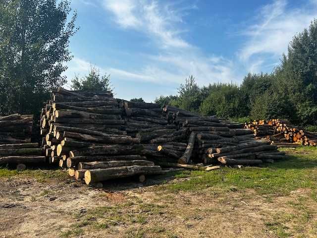 Drewno opałowe, kominkowe i opał