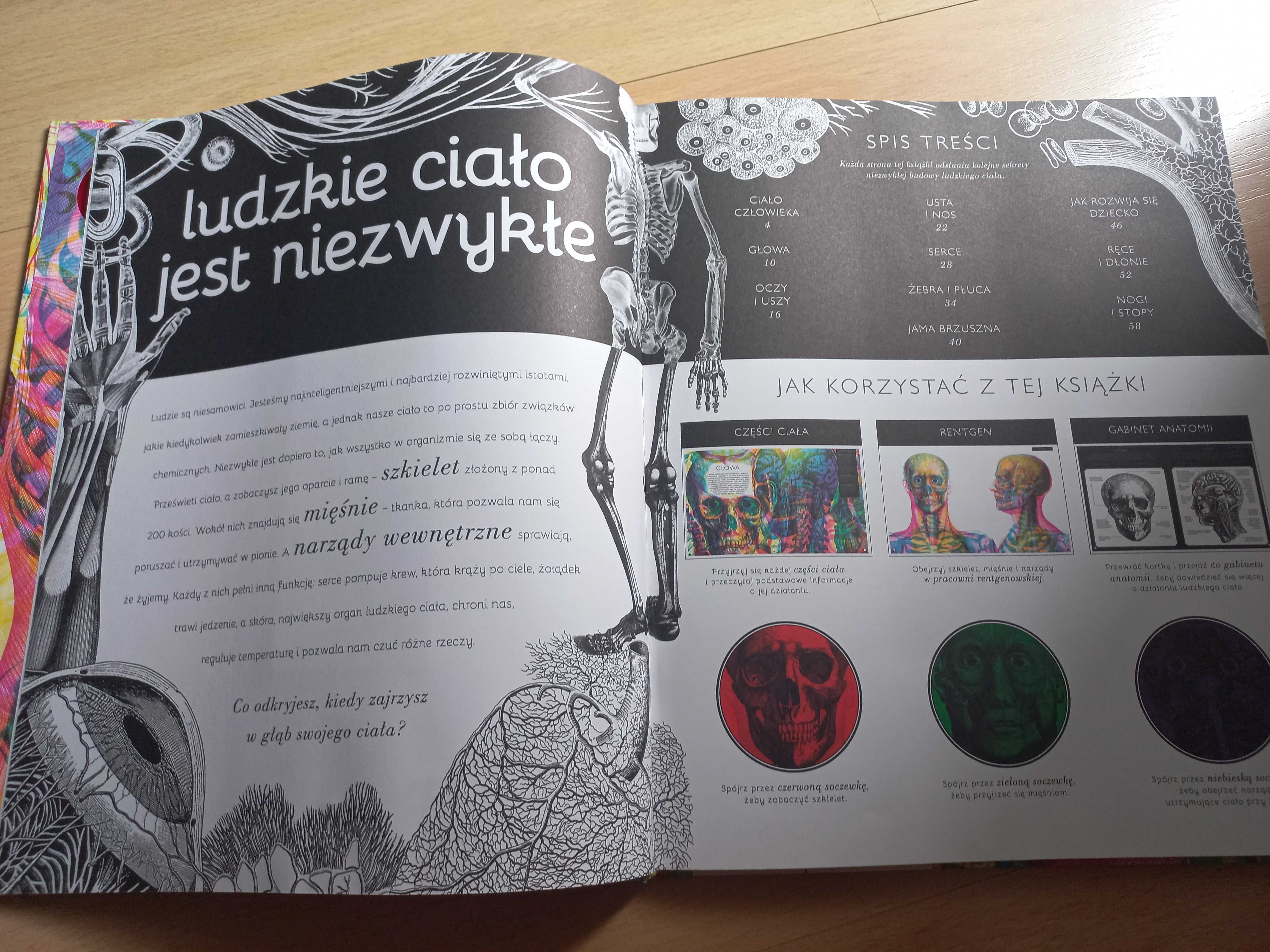 Książka Gabinet anatomii