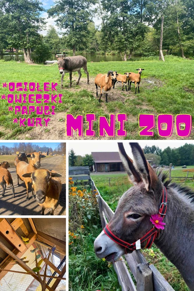 Dom 11 osobowy z prywatnym jeziorem,łowisko,jacuzzi,Boże Ciało