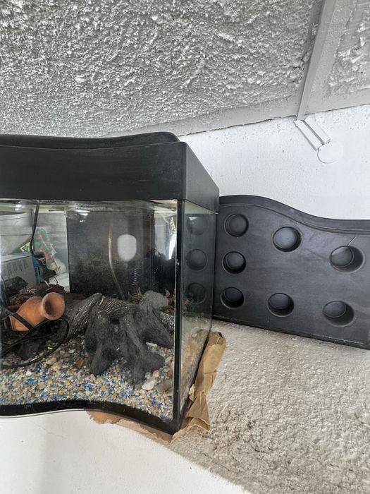 Aquário para peixes