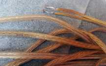 Rocar hi end pc ofc speaker cable