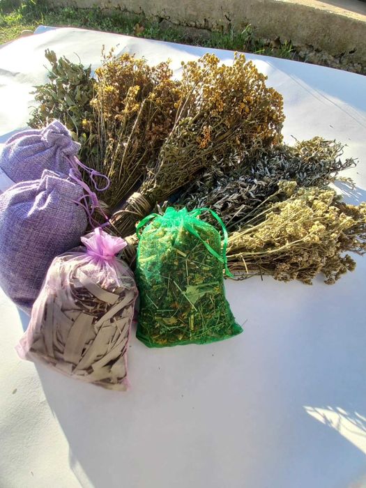 Банні віники дуб ,берёза, липа, хвоя эвкаліпт Трави3/5/65