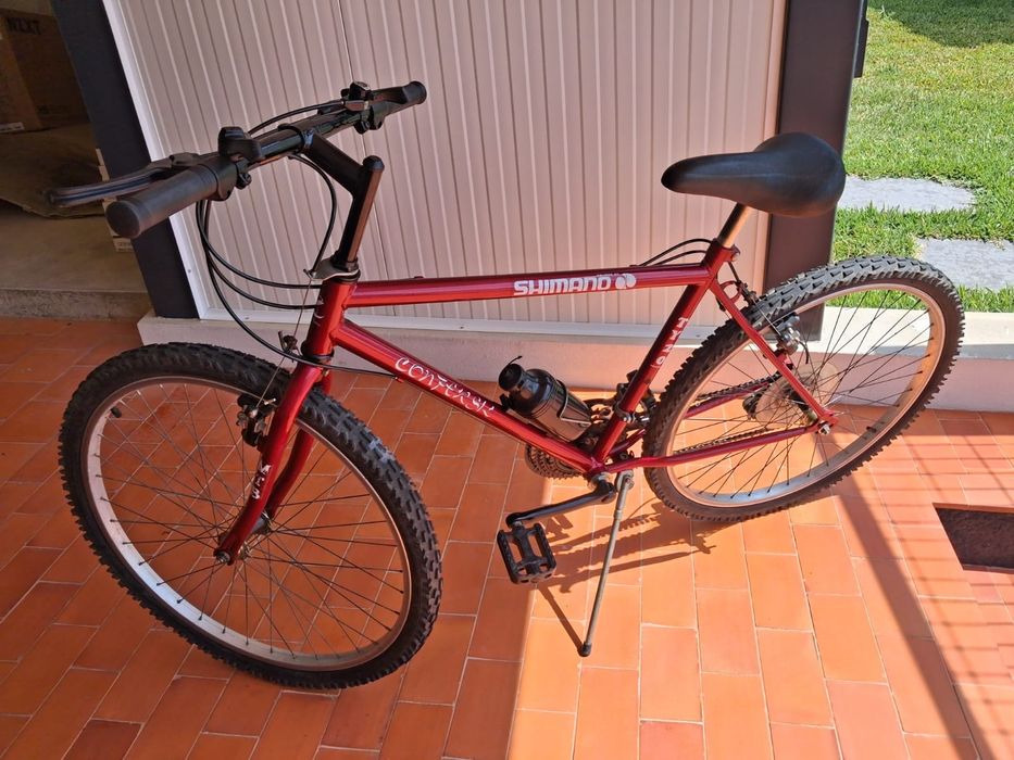 Bicicleta adulto