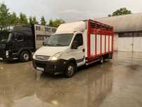 Iveco 35C15 do przewozu żywca