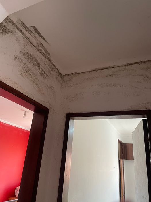 Somos uma empresa que fornece limpezas em casas particularess…