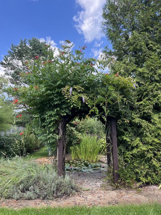 Оренда будинку з дизель генератором та газовою плитою