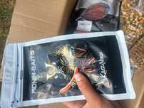 Kulki proteinowe ronin baits