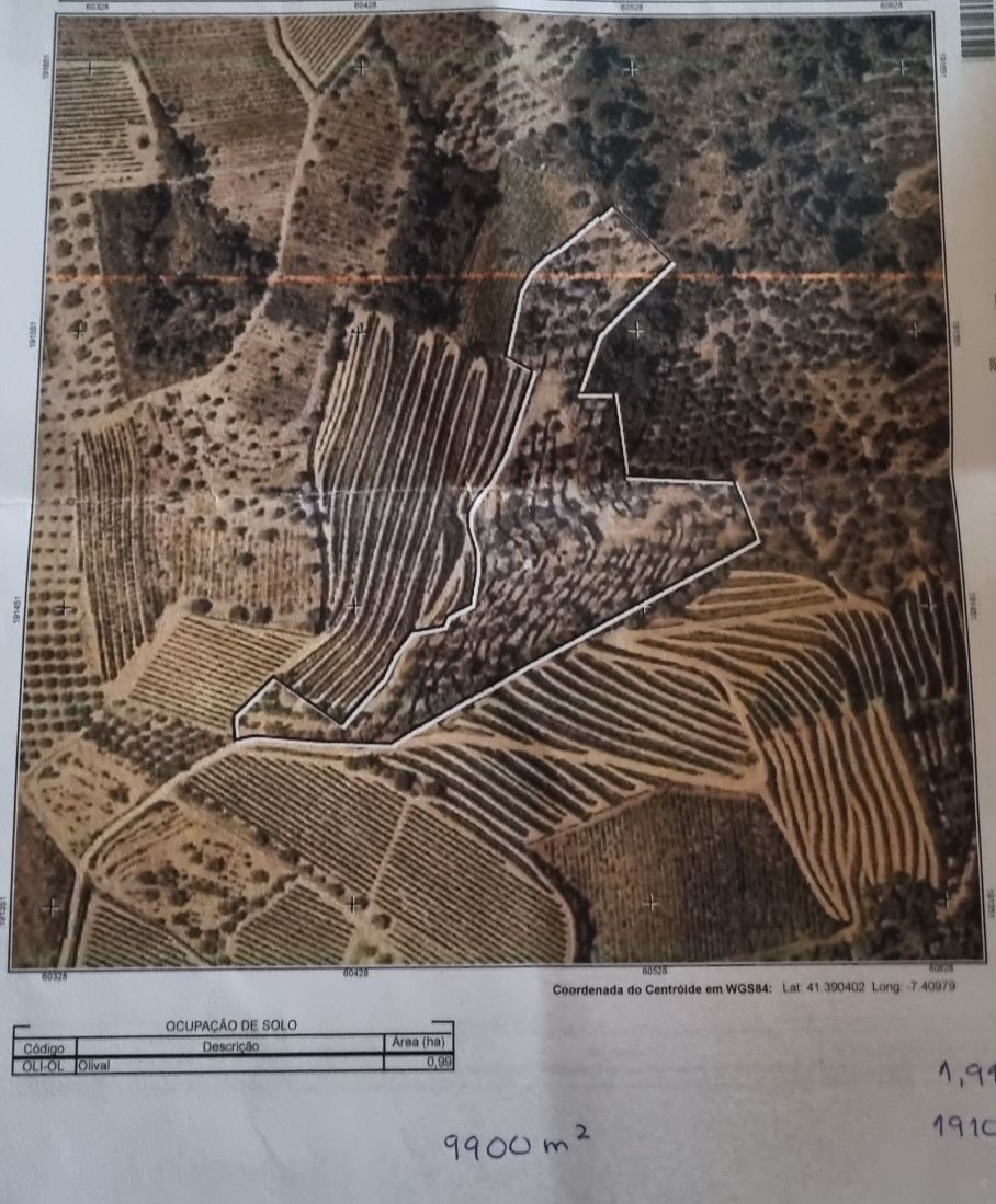 Vinha e olival para venda