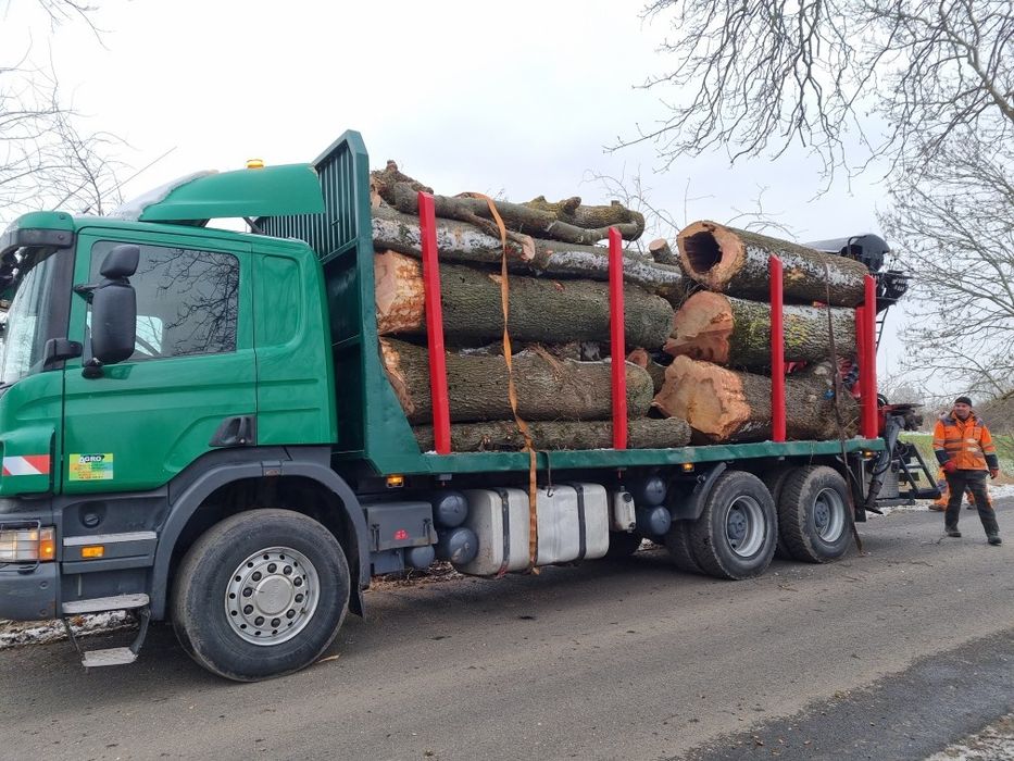 Drewno buk sezonowane 400 zł mp