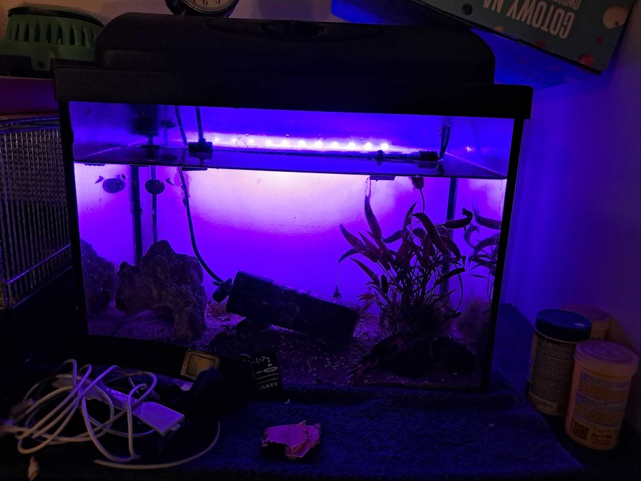 Akwarium 30 l plus lampa