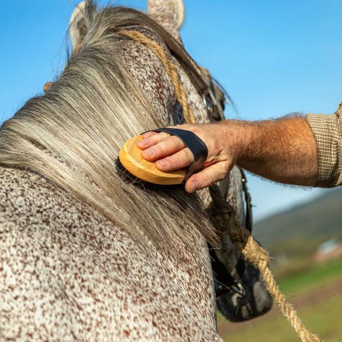 Szczotka z mosiężnego i nylonowego włosia do skóry i sierści Konia