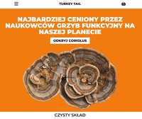 Sklep internetowy TurkeyTail.pl suplementy diety Coriolus biznes