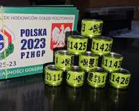 Obrączki dla gołębi polskie PL 2023 z kartami - cena za 10 szt.
