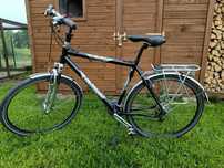 Rower Unibike Viper, rama 21