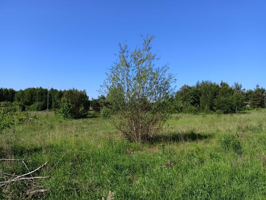 Działka budowlana Bydlino