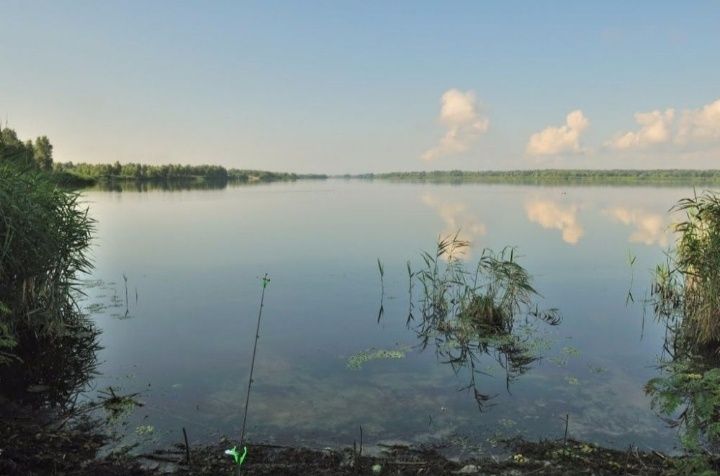Участок земли в пгт. Балабино.Ділянка землі.