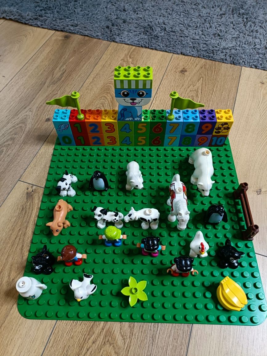 LEGO Duplo 50 elementów cena okazyjna