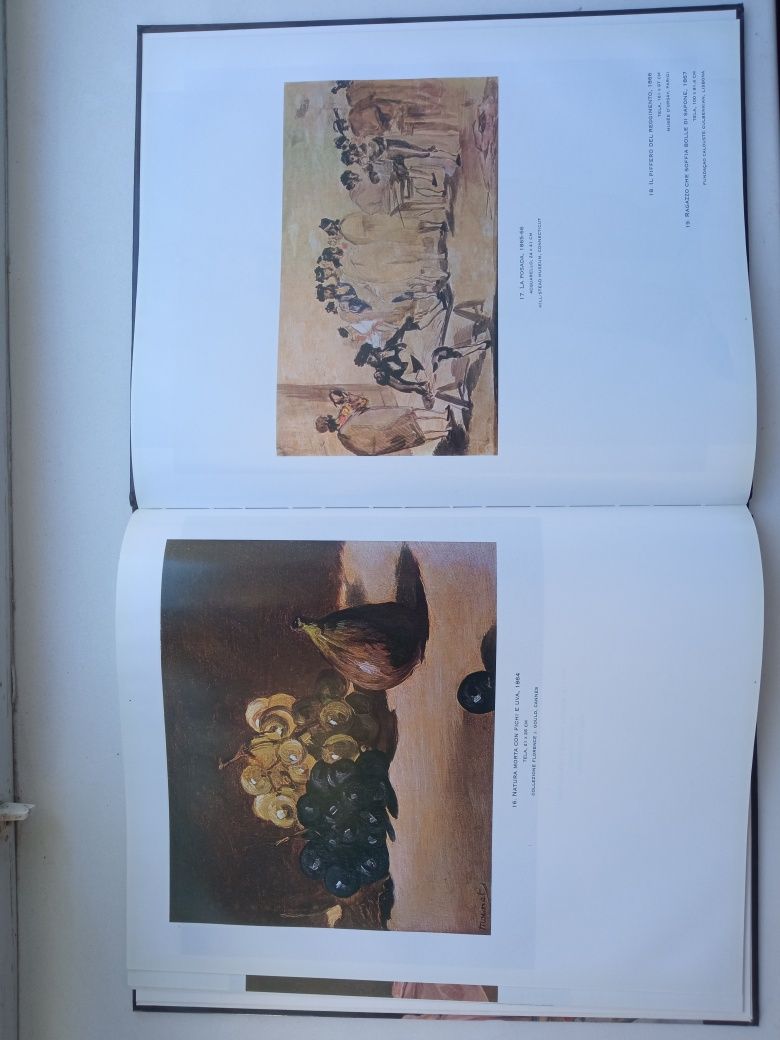 Книги Goya и Manet