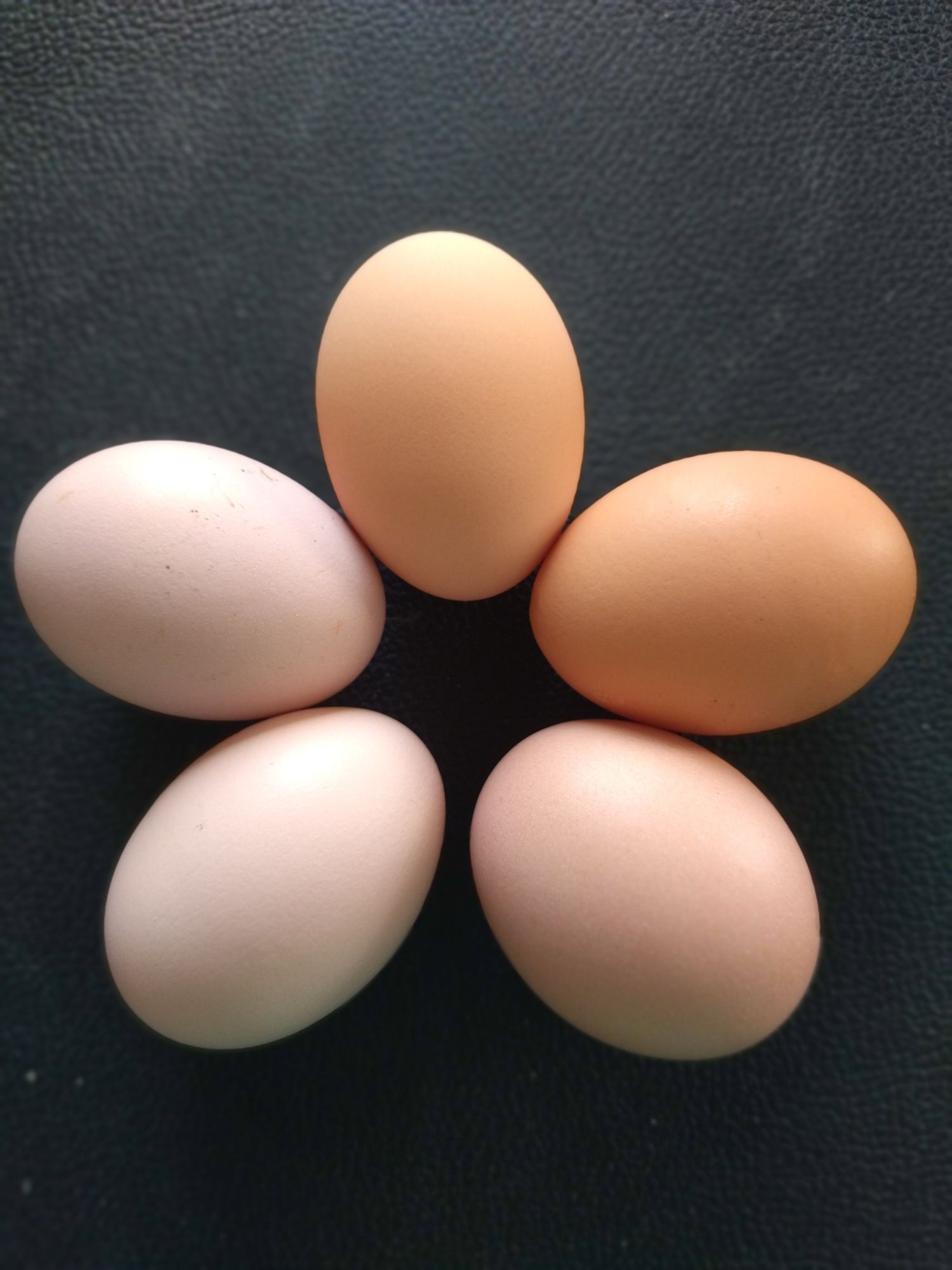 Курячі яйця (домашні)