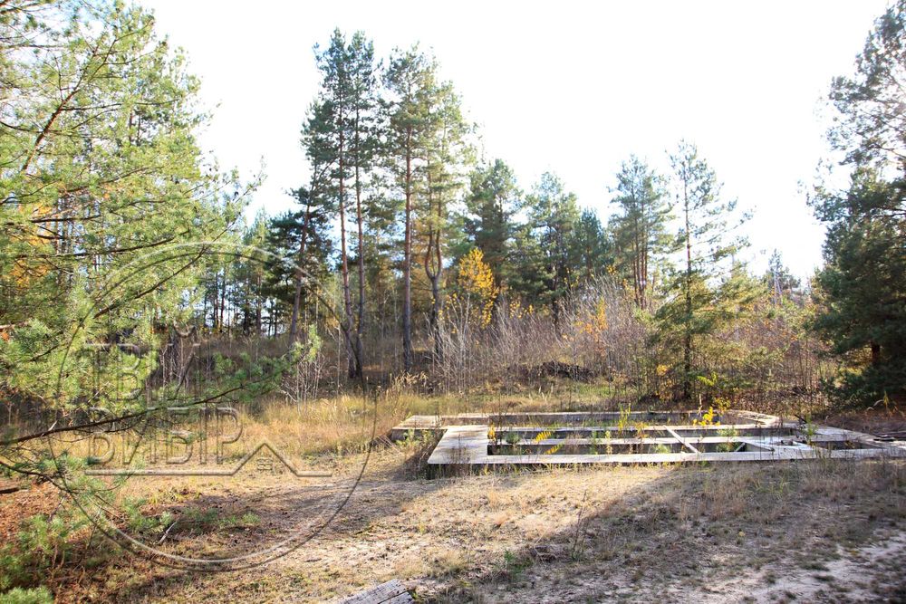 Продаж Ділянки 10 соток Гореничі Світло Ліс