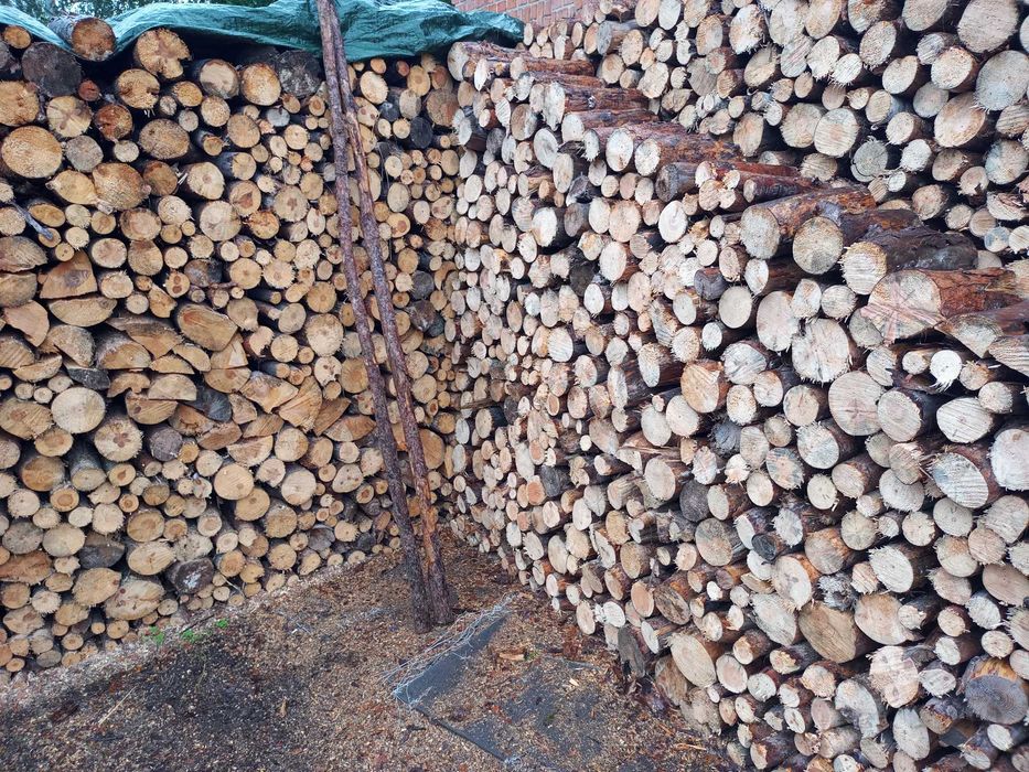 Sprzedam drewno sosna gałęziówka