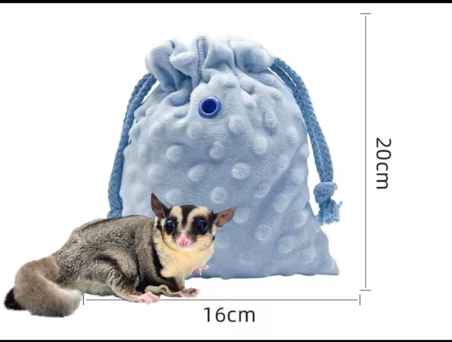 Lotopałanka karłowata torba worek do oswajania niebieska