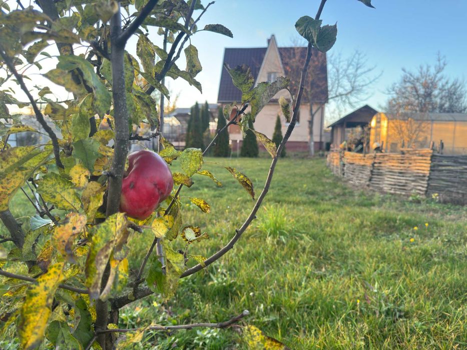 Будинок мрія під Черніговом