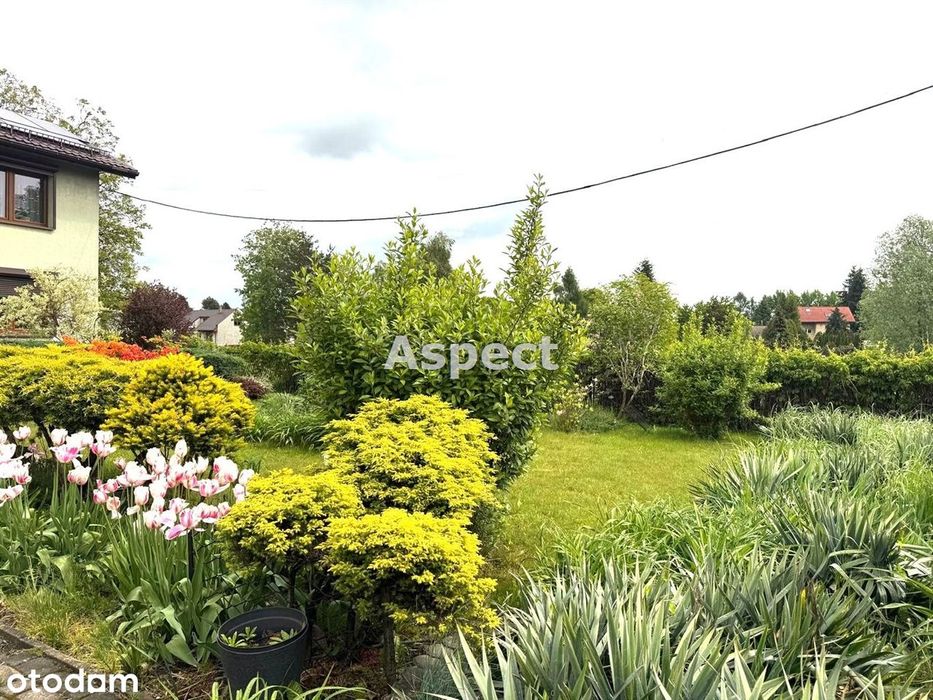 Dom wolnostojący w doskonałej lokalizacji