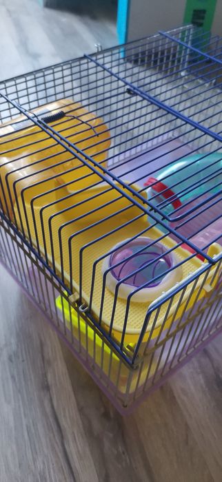 "хомячья мрія 2025" клетка аттракцион для грызунов