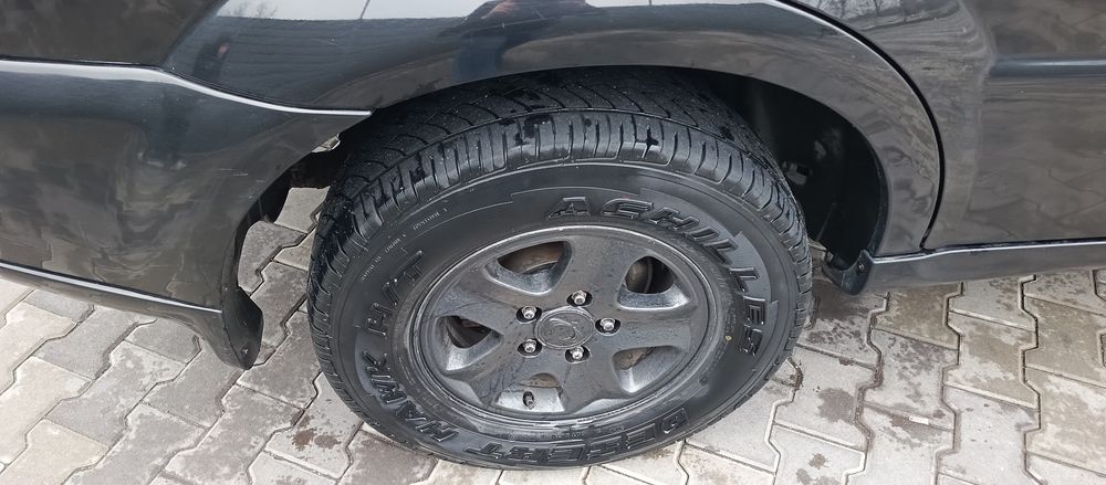 Продам Рекстона.  .