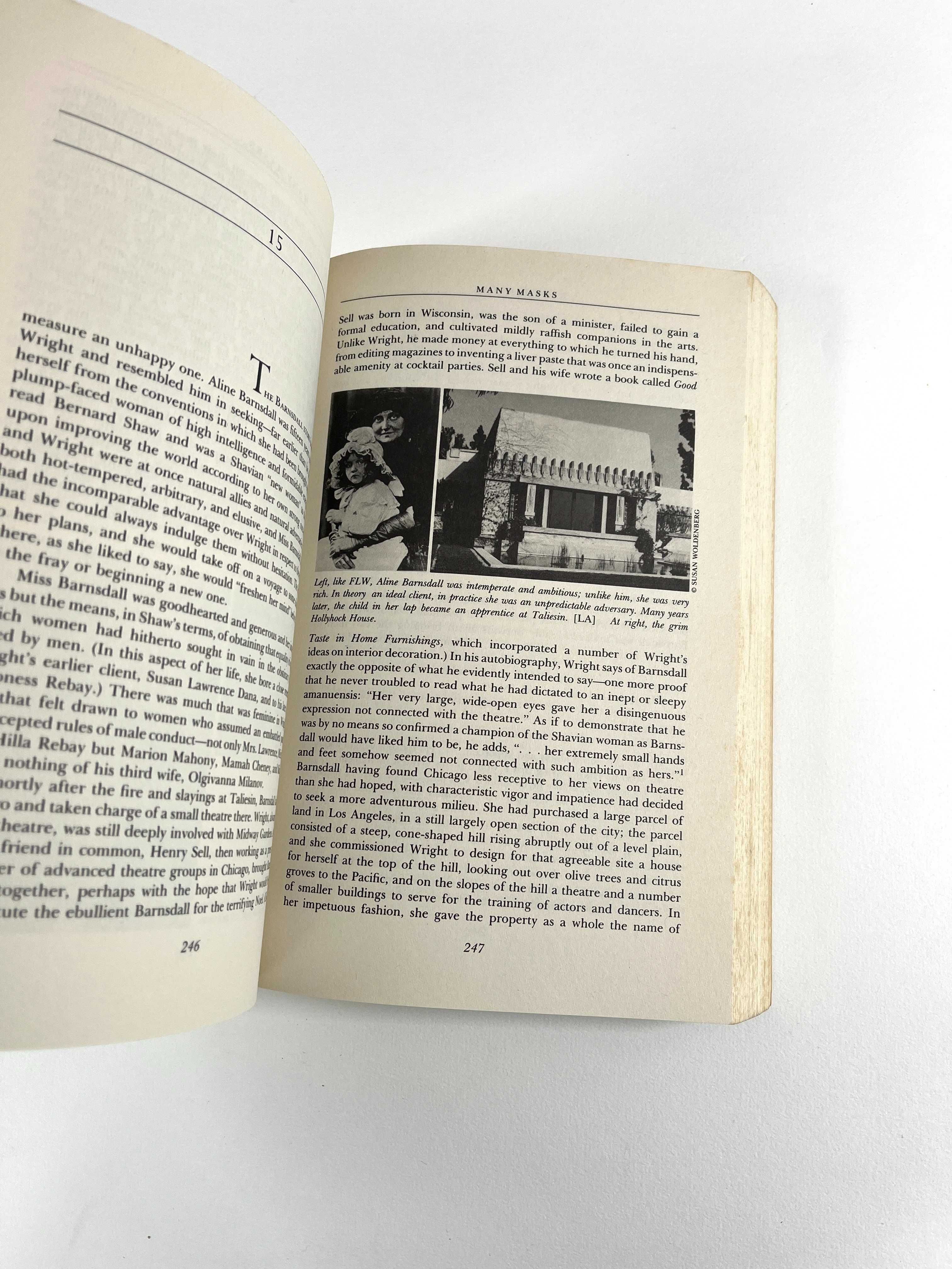 Many Masks a Life of Frank Lloyd Wright Brendan Gill Livro Arquitetura