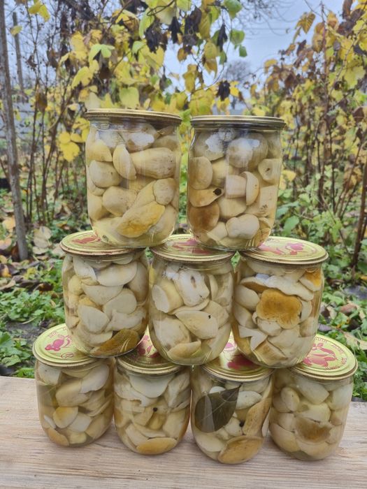 Мариновані білі гриби