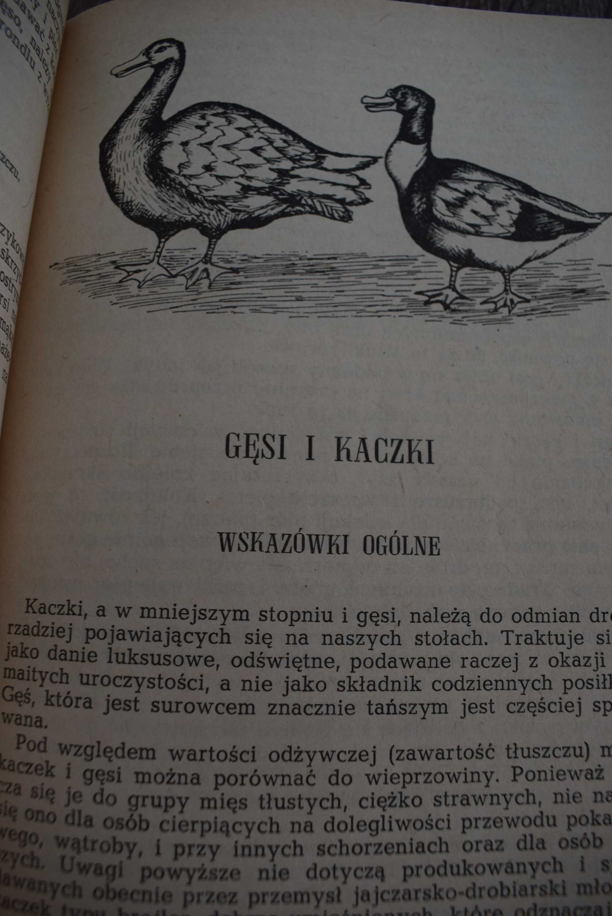 Potrawy z drobiu i dzikiego ptactwa-1973 -78