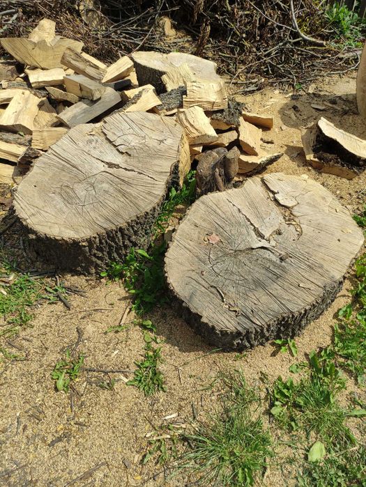 Дерево під стіл.