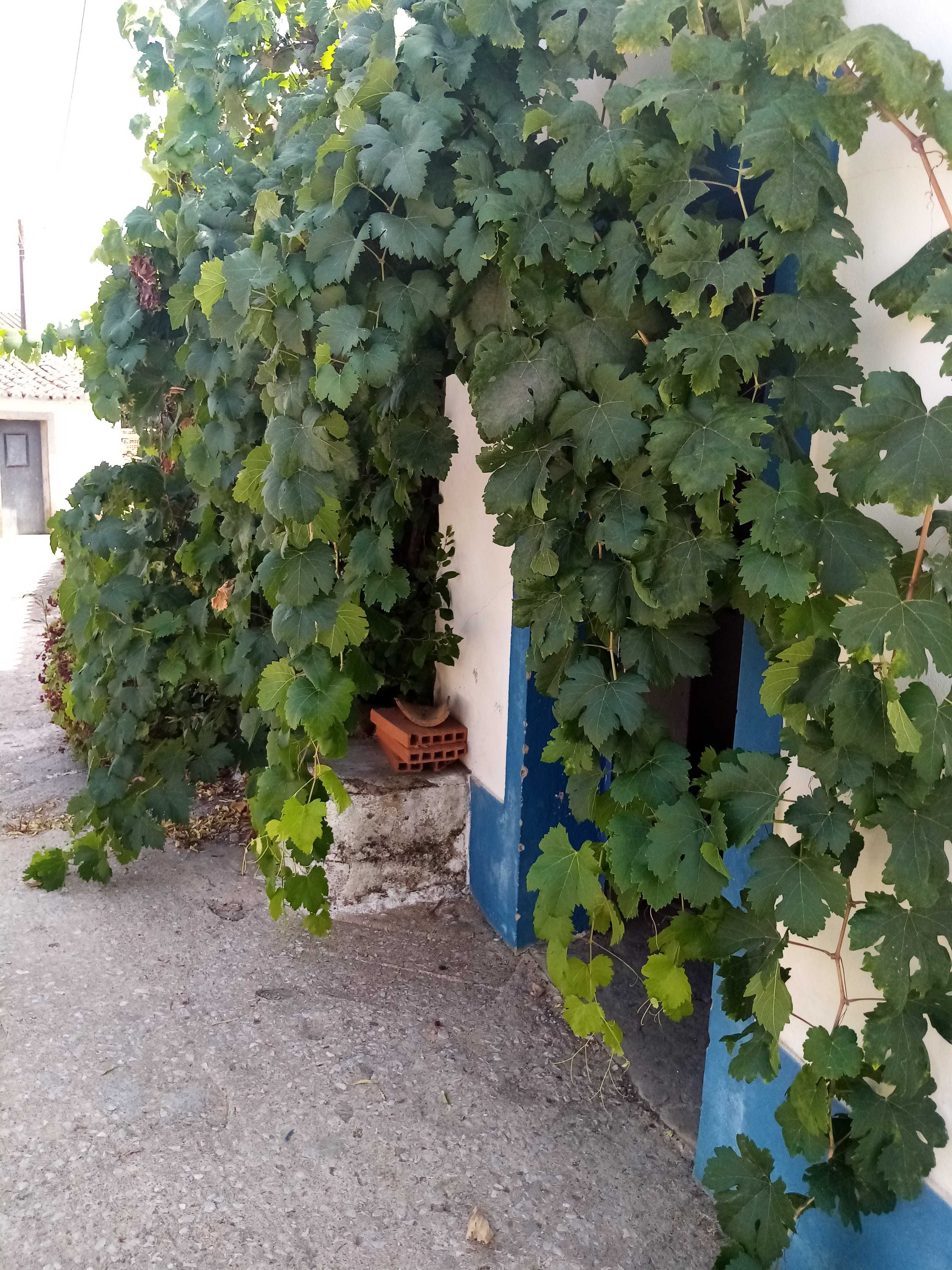 Casa Típica Algarvia