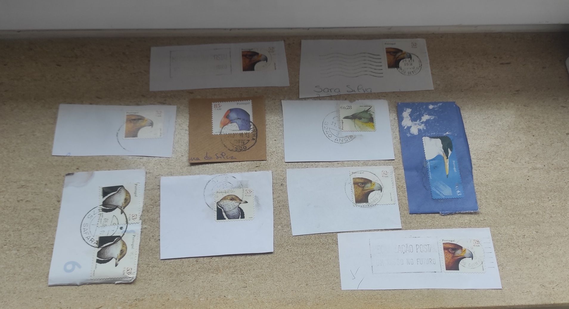 Selos Portugal pack aves
