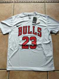 Koszulka Dri-Fit Nike Jordan Chicago Bulls