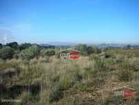 Terreno C/Olival30000 M2
