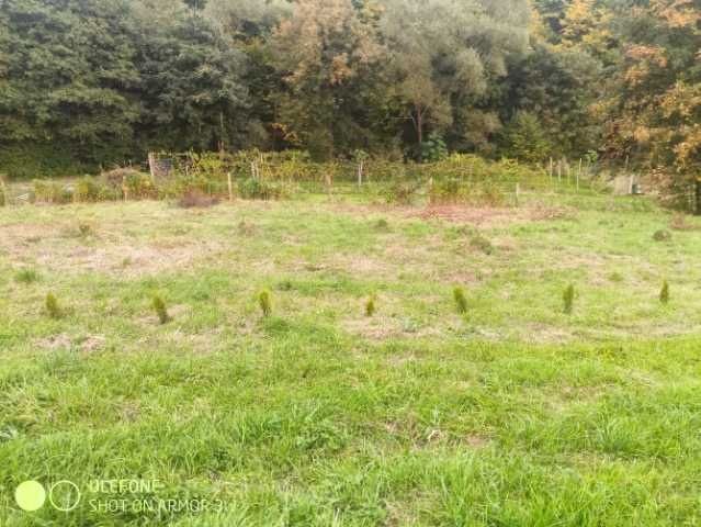 Sprzedam/Zamienię 7140m2 /Warunki zabudowy/Ładna działka