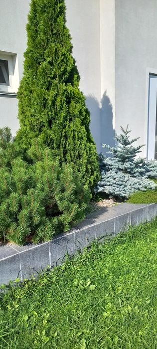 Акція тижня -20 тис!!!Продаж чудового будинку на Старому місті