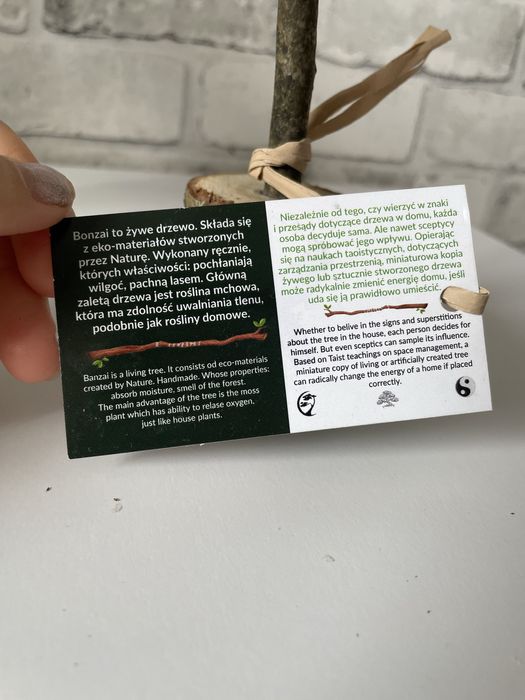 Drzewo bonsai z prawdziwego drzewa i mhcu