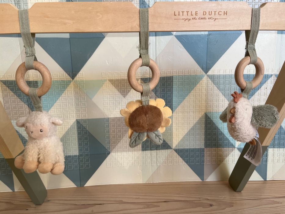Baby gym, little duch, dla niemowląt