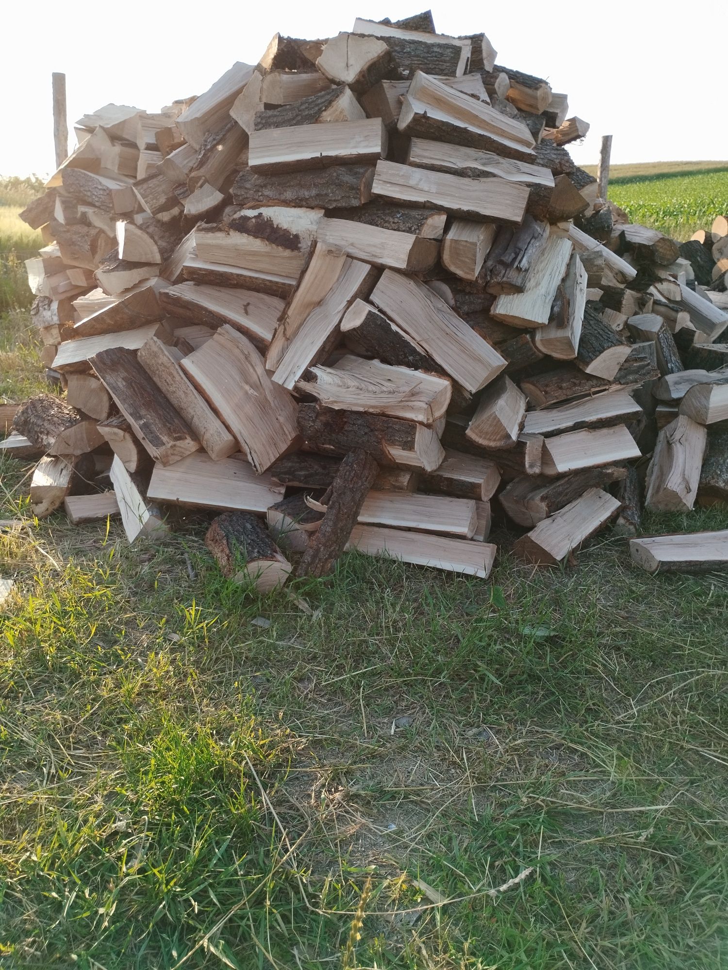 Drewno kominkowe dąb #buk#jesion#brzoza