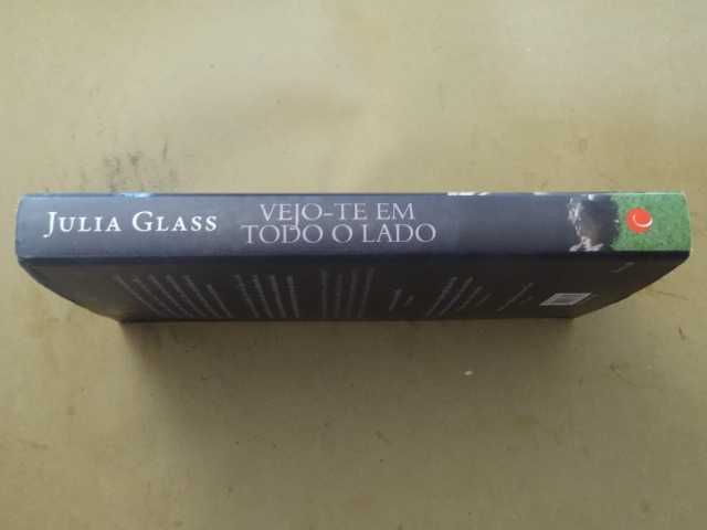 Vejo-te em Todo o Lado de Julia Glass