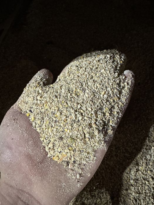 naturalna pasza dla kur niosek