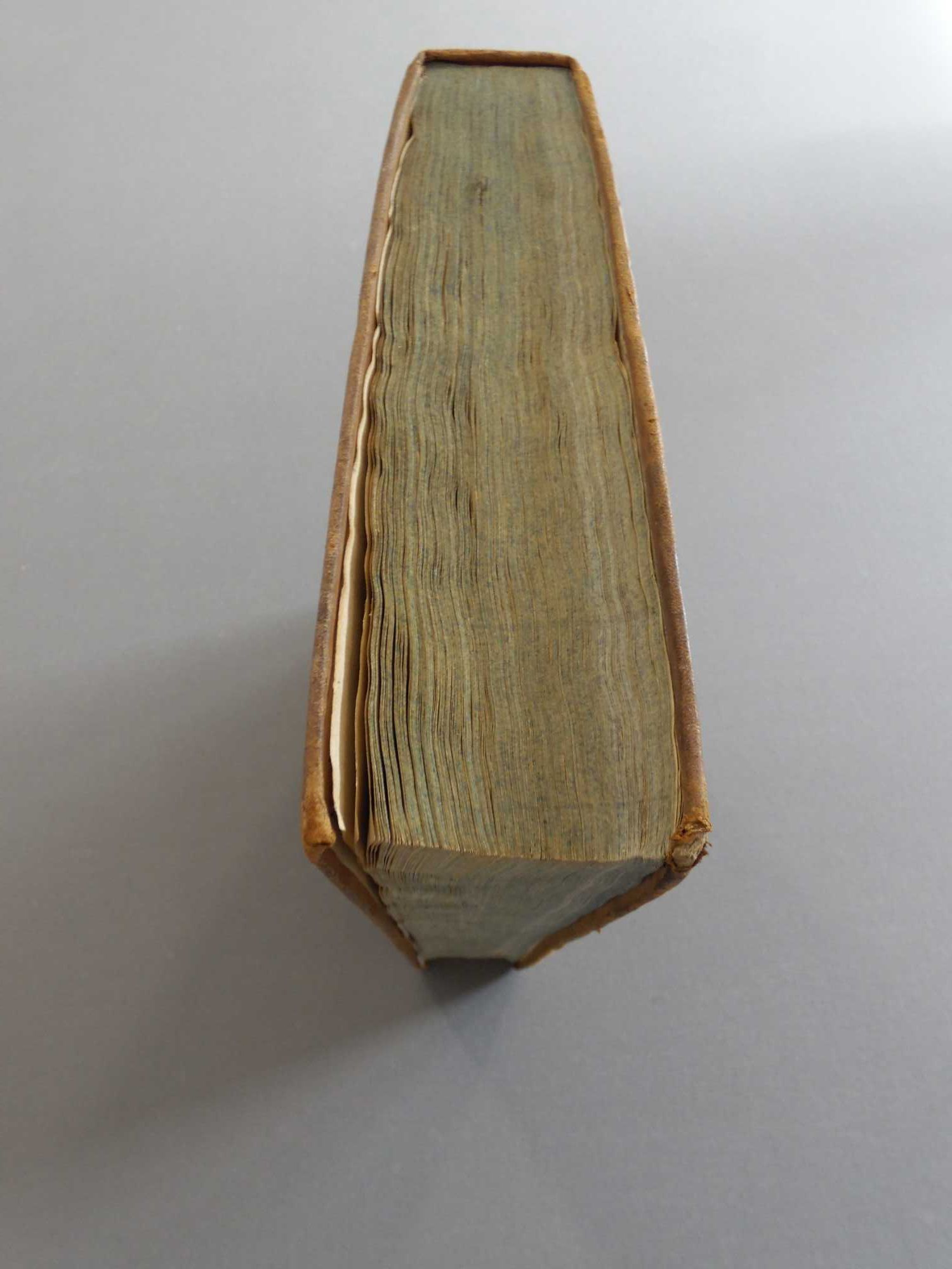 Livro Magnum Lexicon, 1833