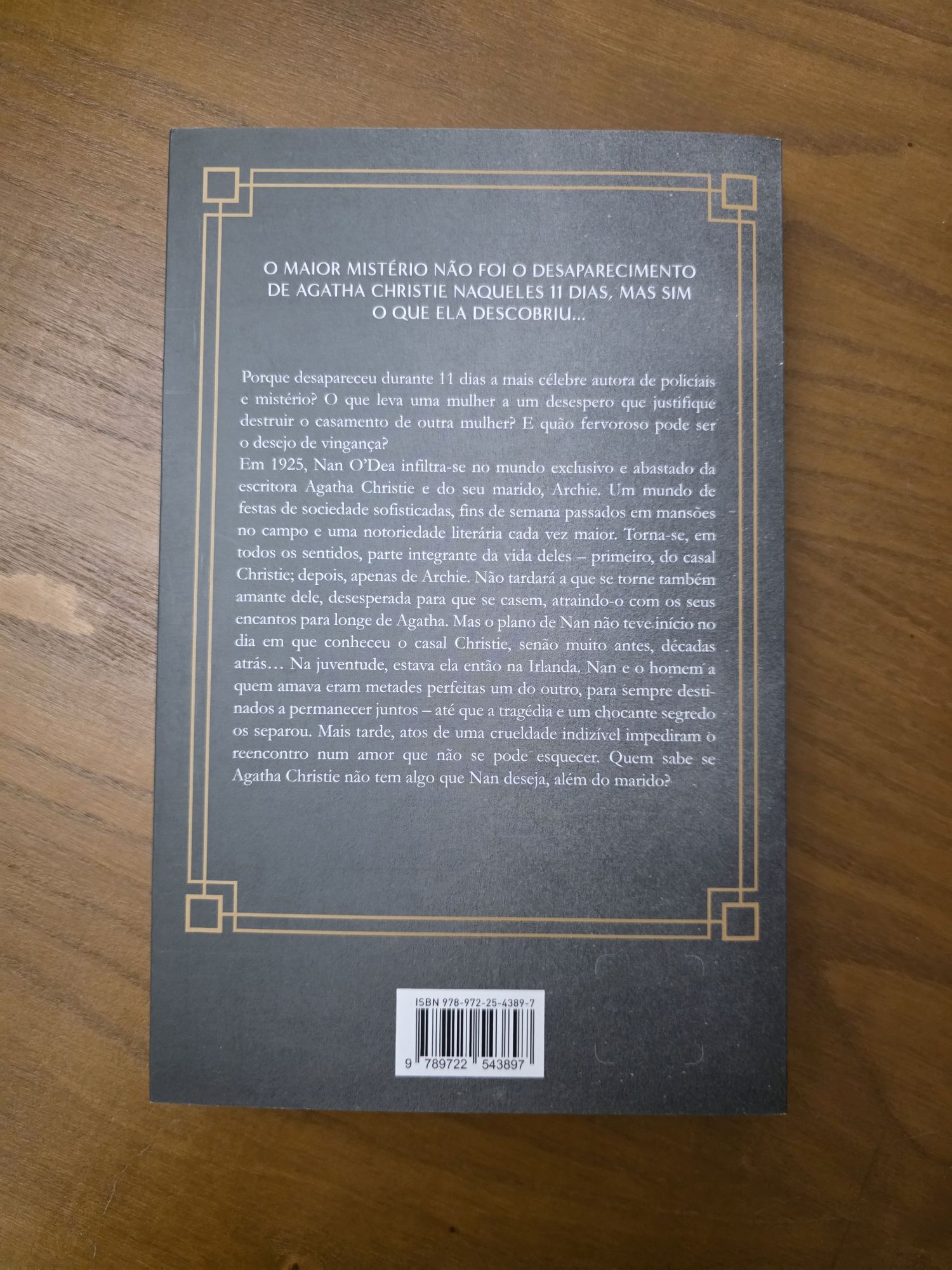 Livro O Caso Christie de Nina de Gramont