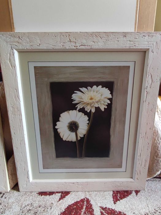 2 quadros 65 por 75