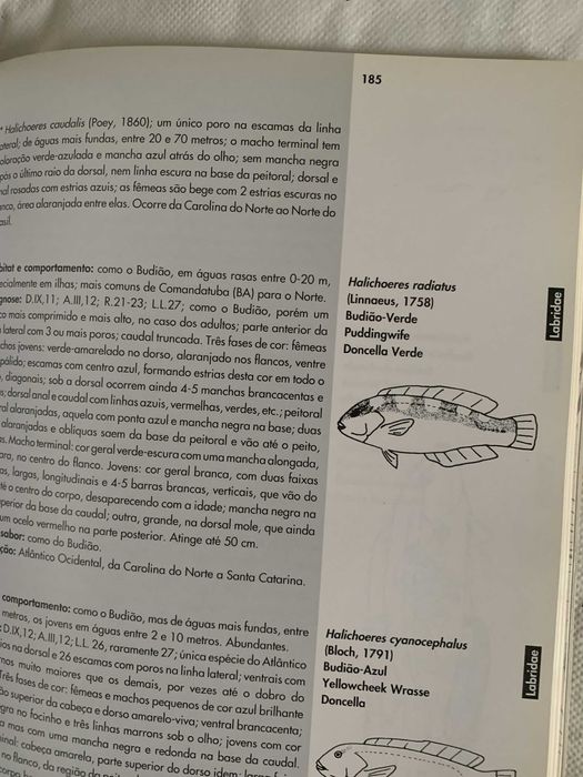 Livro "Peixes da costa brasileira" de Alfredo Carvalho Filho